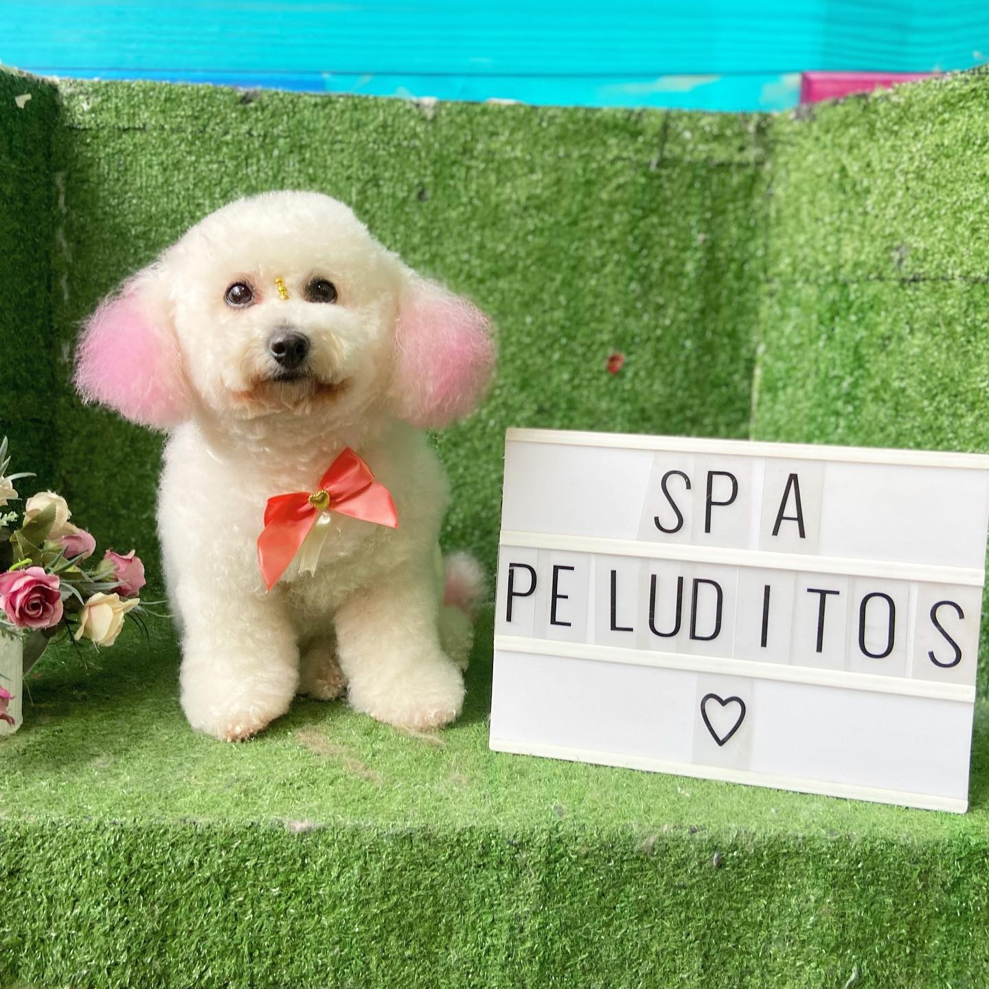 Sesión Fotográfica